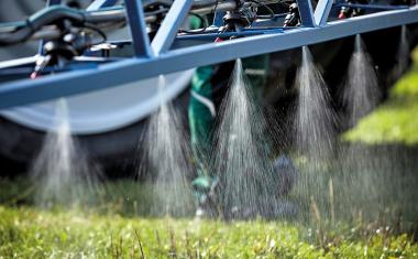 Pflanzenschutz: Urteil stärkt fairen Wettbewerb