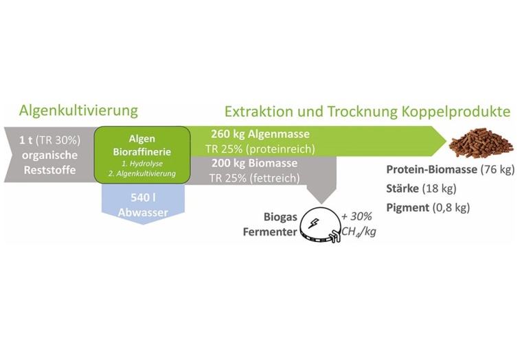 Massenbilanz einer Algen-Bioraffinerie. | © ILU