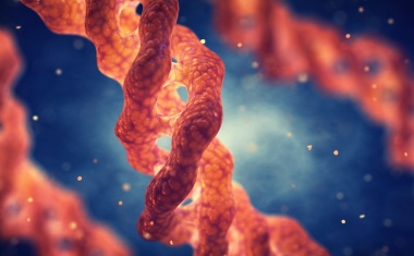 Kollagenplattform Vecollan für medizintechnische Anwendungen