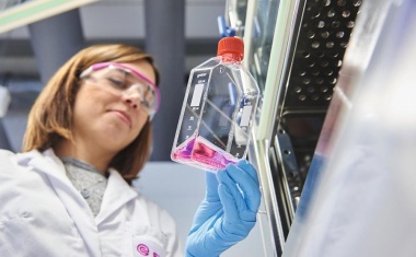 Evonik bringt leistungsstarkes Phosphatmethacrylat auf den Markt