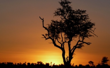 Afrika – ein Chemiemarkt mit Potential