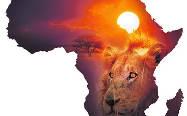 Afrika - Chemiemarkt mit Zukunft