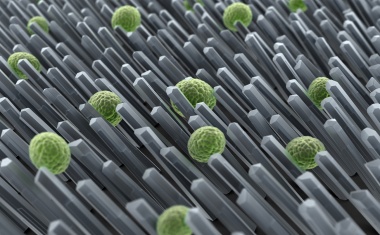 Asahi Kasei baut Anlage zur Herstellung von Hohlfasermembranen