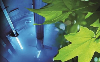 Vorbild Natur – Licht steuert Reaktionen