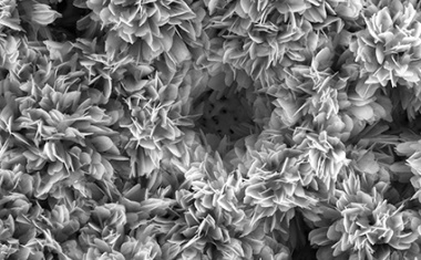 An den Grenzen der Fachgebiete