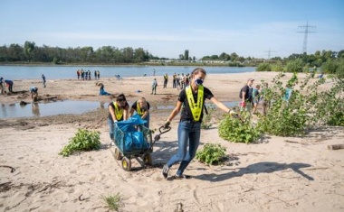 Ineos: Azubis säubern das Rheinufer an km 724