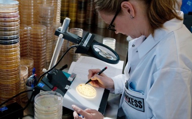 Lanxess kauft Microbial-Control-Geschäft von IFF für 1,3 Mrd. USD