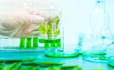 Startschuss für die Innovation Challenge 2021/2022