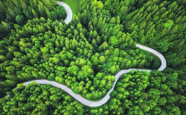 Gemeinschaftsaufgabe: Dekarbonisierung