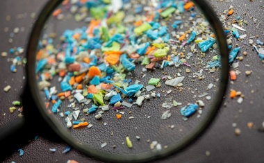 Tausendsassa Plastik unter Beobachtung