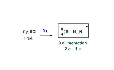 Mit Borradikalen ist die Umsetzung von Stickstoff zu Ammoniak in Lösung möglich