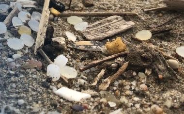 Kunststoffbranche will Granulatverluste vermeiden