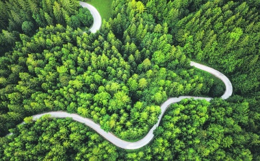 Transformationspfade für die Industrie