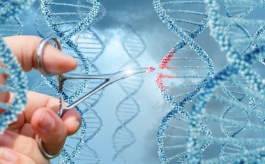 Merck KGaA Acquires Flo Design Sonics