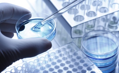 Schrödinger and Bayer to Collaborate on Acceleration of Drug Discovery