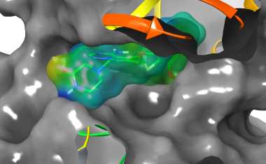 Accelerated Drug Discovery