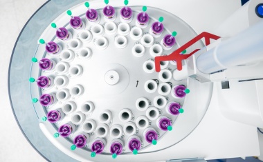 Curia Buys LakePharma