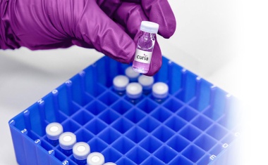 Curia Announces Name Change for new Subsidiaries