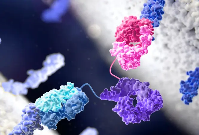 Dual‑Targeting Breakthroughs: Advancements in Bispecific Antibody Development