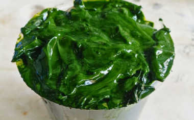 Environalgae – Sustainable Wastewater Treatment with Algae Solutions