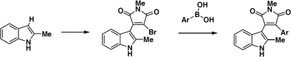 Schema 2: Synthese und Suzuki Kupplung von Indolylmaleinimiden.