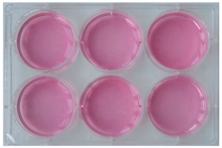 Abb. 3: Schaltkreise in der Petrischale