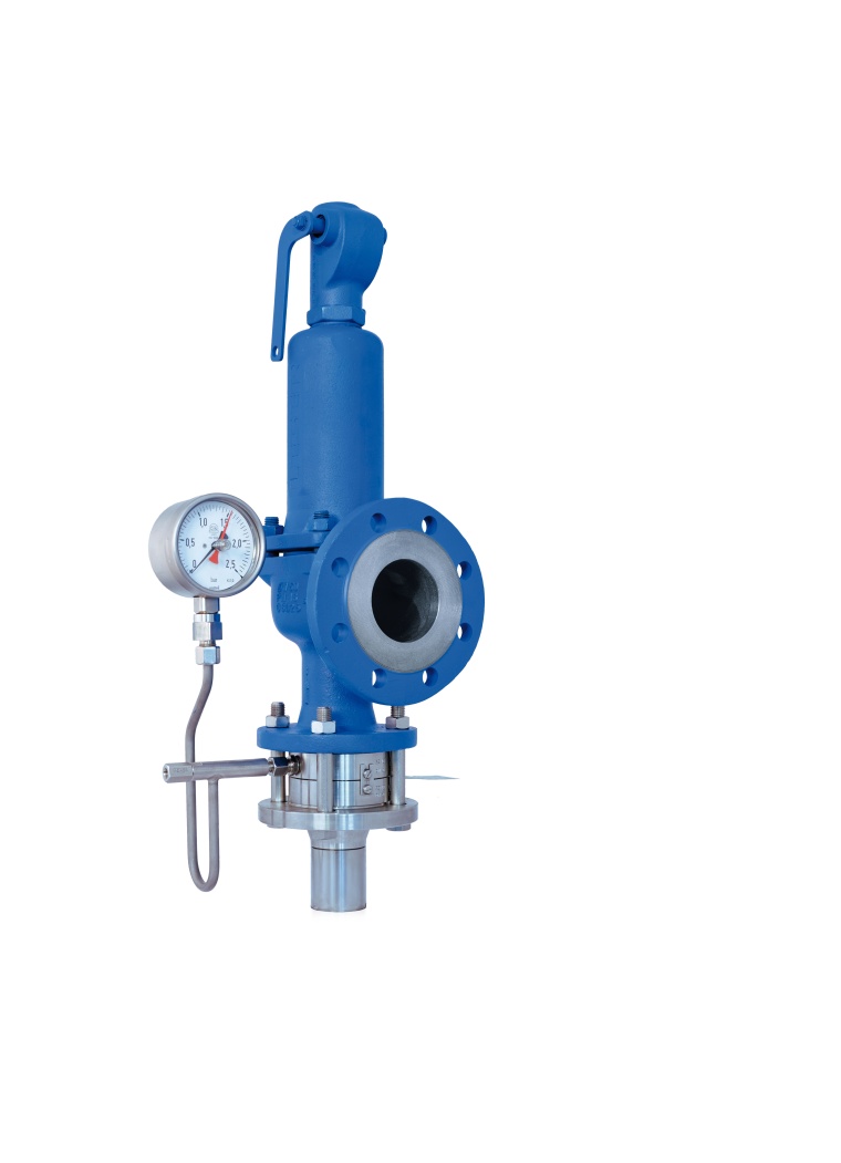 Rembe: Eine perfekte Kombination: Berstscheibe und Sicherheitsventil.