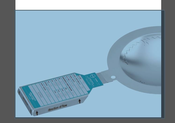 Rembe: Berstscheiben: Ein kleines Stück Metall mit langer Geschichte und...