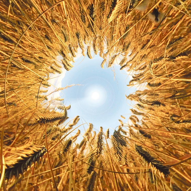 © chilimapper - Fotolia.com