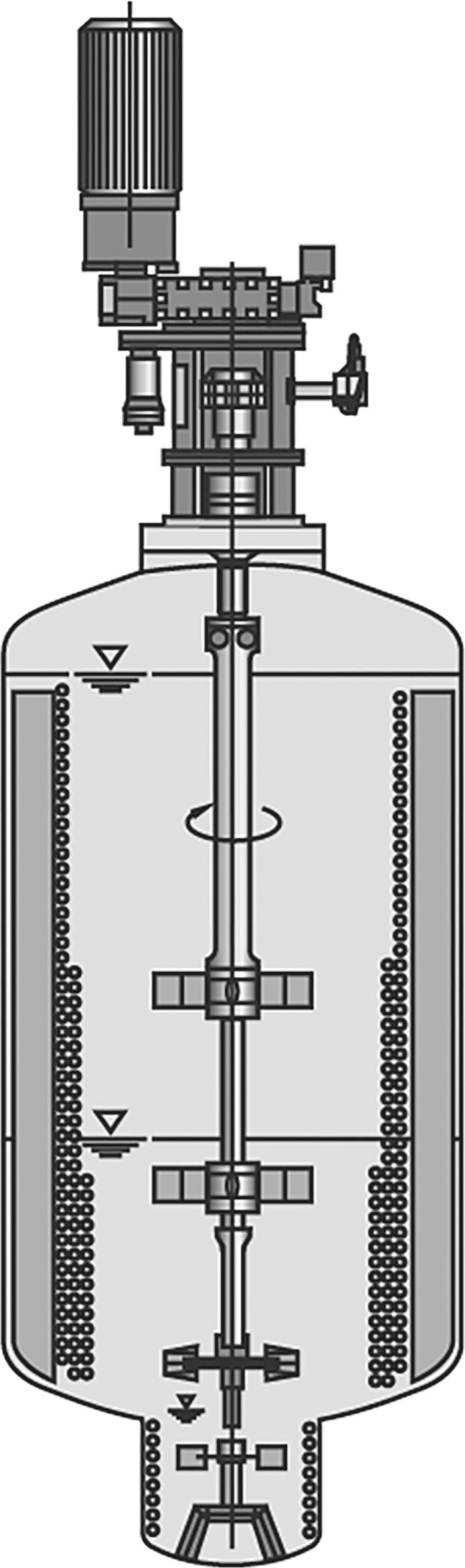 Alkoxylierungsreaktor mit „Start-Birne“, um Prozesse mit kleinem...
