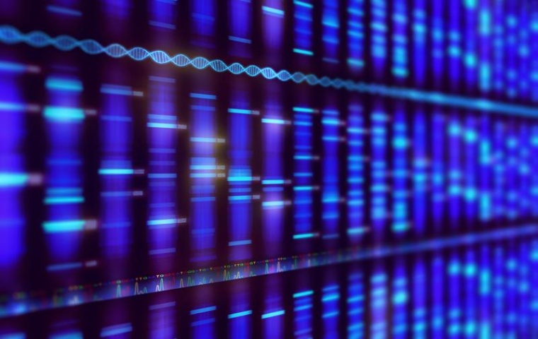 Die zentrale Frage ist, wer es als erster schafft, ein mRNA-Medikament auf den...