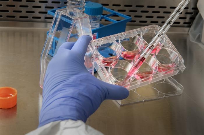 Derzeit ruhen alle Hoffnungen auf der Entwicklung eines Coronavirus-Impfstoffs....