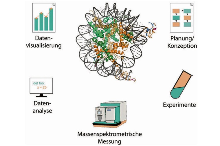 Das EpiQMAx-Verfahren deckt den gesamten Prozessfluss der Analytik ab und...
