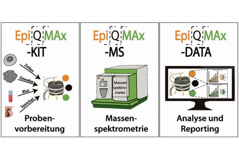 Die EpiQMAx-Plattform ist darauf ausgerichtet, schnell, robust und spezifisch...