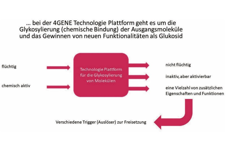 Die Technologieplattform von 4Gene kann Moleküle aus unterschiedlichen...