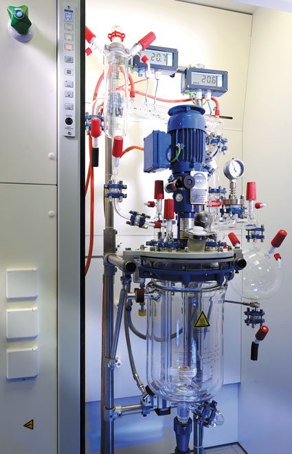 10 L scale-up reactor