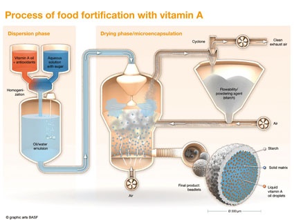 Vitamin oil is pumped from the oil vessel into the spray vessels. The flow...
