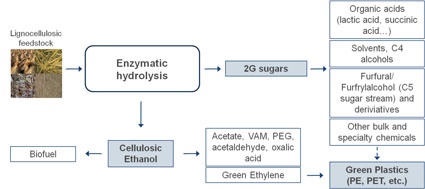 A new sugar platform for second generation green chemicals and biofuels
