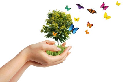 © Phase4Photography - Fotolia.com