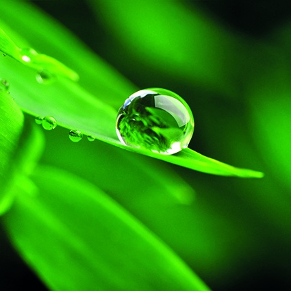 © Stefan Körber - Fotolia.com