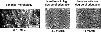 Fig. 4: Performance of fuel cells with optimized sulfonated hydrocarbon block...