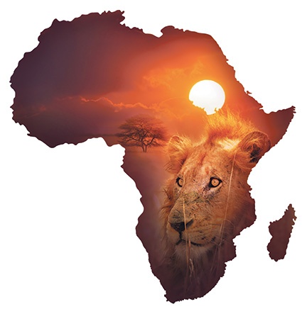 Afrika_Karte_Löwe_Fotolia_CMI0314.jpg