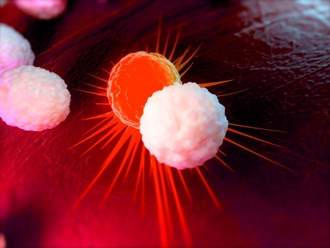 (© Science Photo Library RF/Getty Images