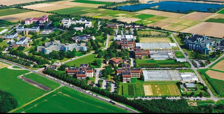 Während der Bereich Pflanzenschutz nach der Monsanto-Übernahme durch Bayer...