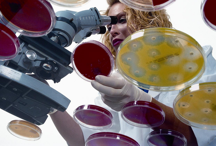 Immunologie wird immer wichtiger – Laserhersteller kommen mit innovativen...