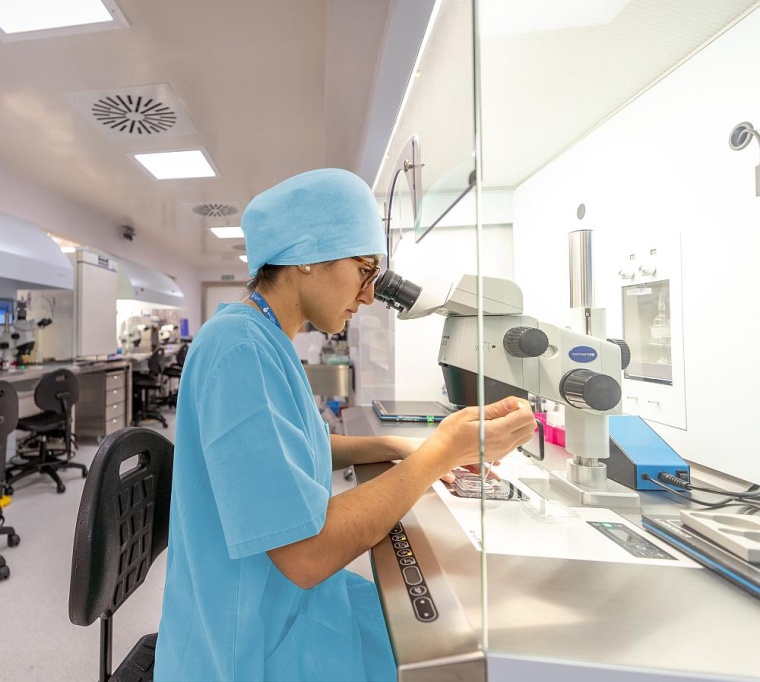 Die bedeutendsten Märkte für die Eugin-Gruppe sind derzeit die USA, Spanien,...