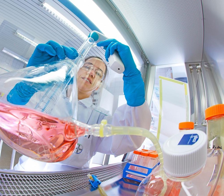 Pharmaforschung bei Bayer. Foto: Bayer