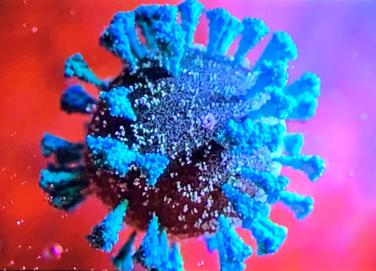 Coronavirus-Simulation. (c) ZDF