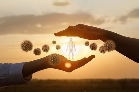 © natali_mis - stock.adobe.com