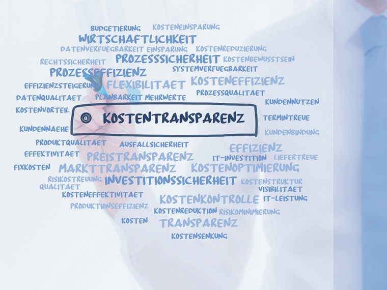 Detailkenntnis der tatsächlichen Transportkosten und deren Bestandteilen ist...
